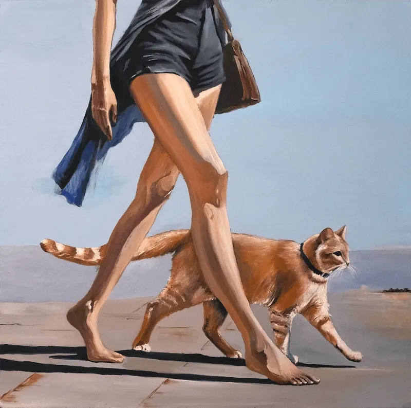 Gato paseando a su mascota